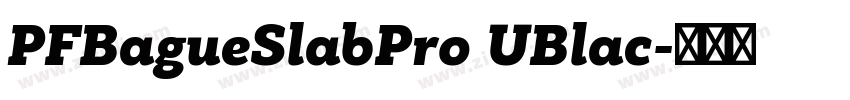 PFBagueSlabPro UBlac字体转换